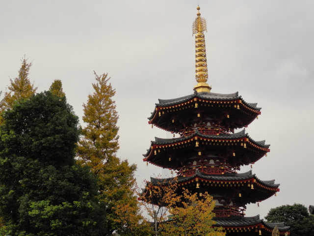img0002.jpg