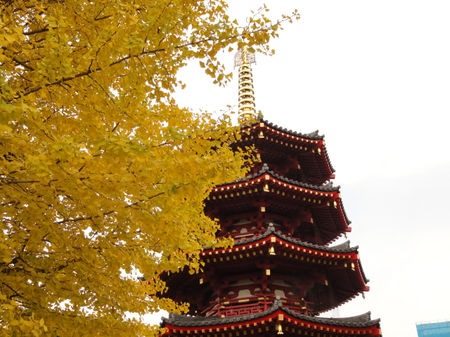 img0008.jpg