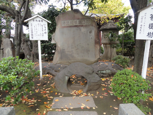 img0017.jpg
