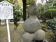 img0009.jpg
