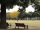 img0020.jpg