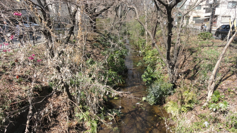 img0007.jpg