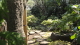 img0013.jpg