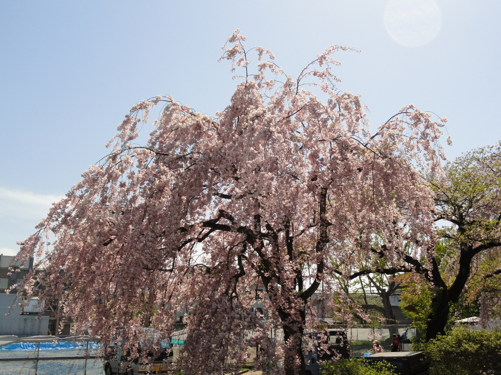 img0019.jpg