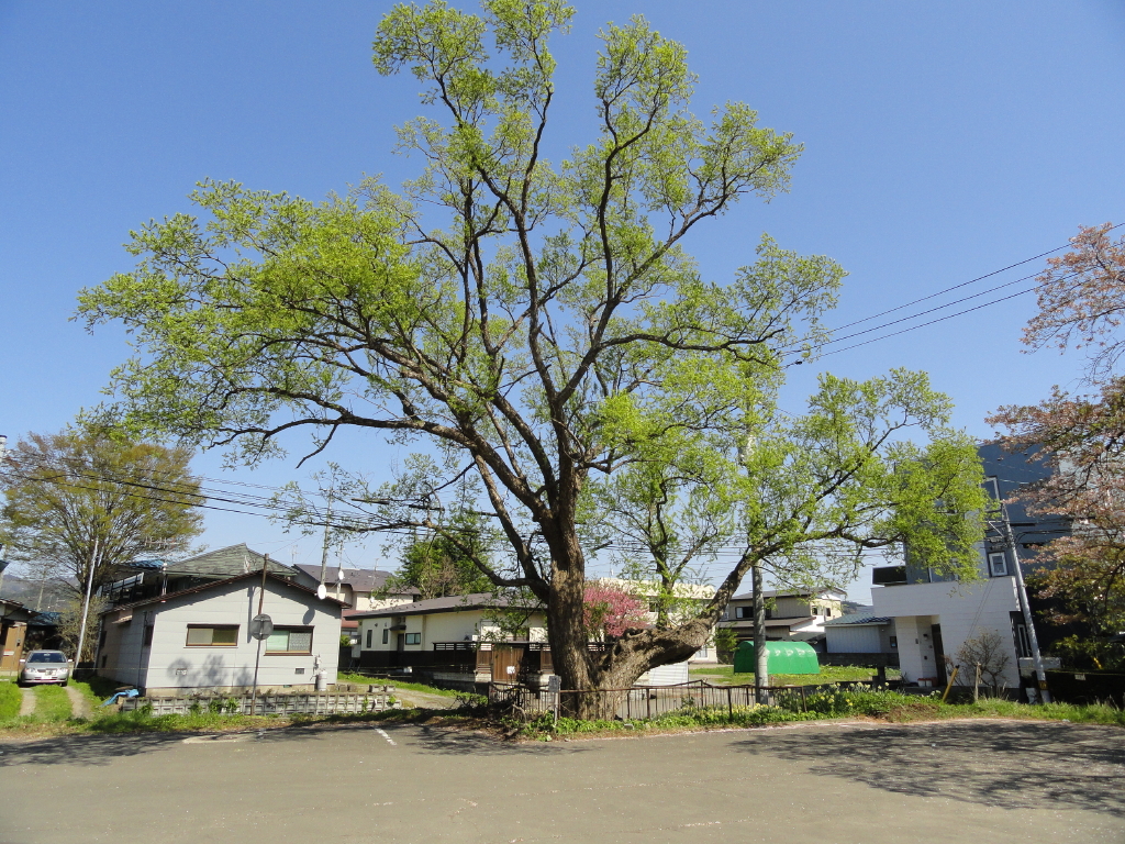 img0020.jpg
