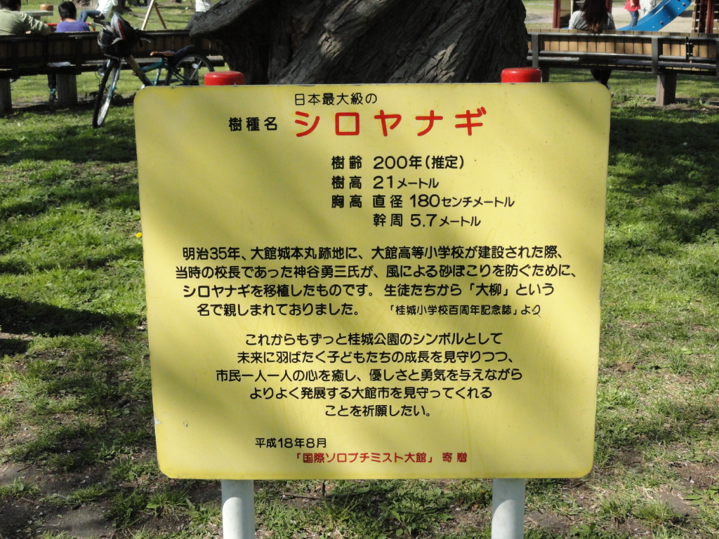img0025.jpg