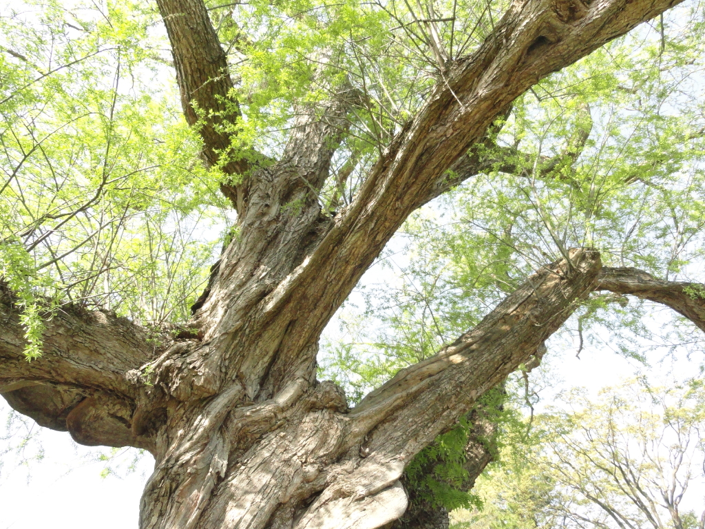 img0029.jpg