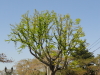 img0000.jpg