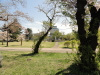 img0008.jpg