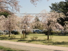 img0013.jpg