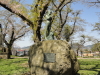 img0015.jpg