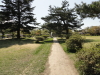 img0018.jpg