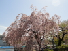 img0019.jpg