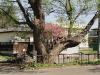 img0021.jpg