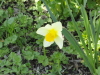 img0023.jpg