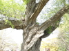 img0027.jpg