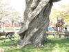 img0028.jpg