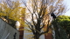 img0017.jpg