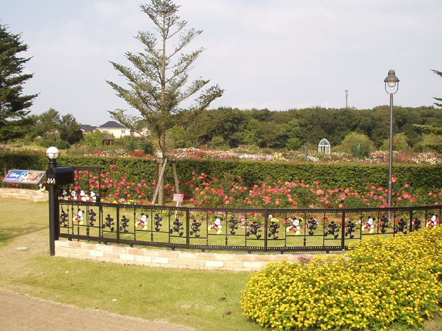 img0002.jpg
