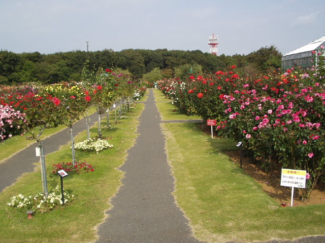 img0003.jpg
