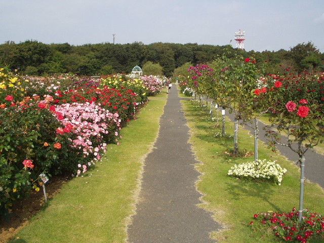 img0004.jpg