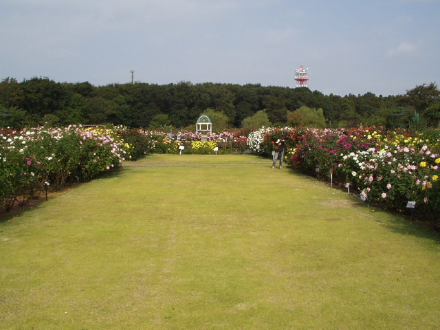 img0005.jpg