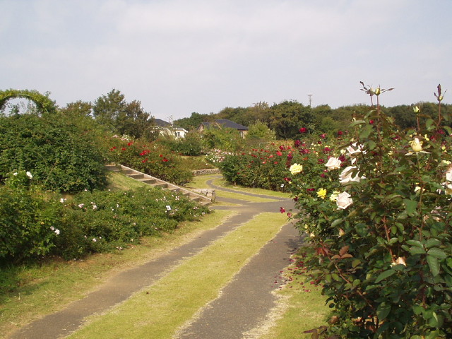 img0006.jpg