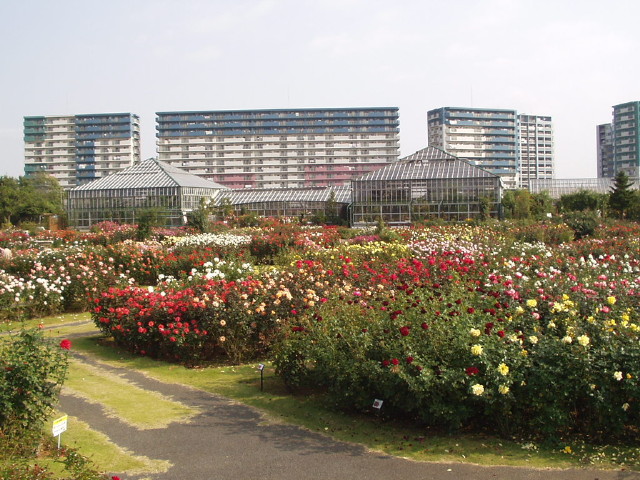 img0008.jpg