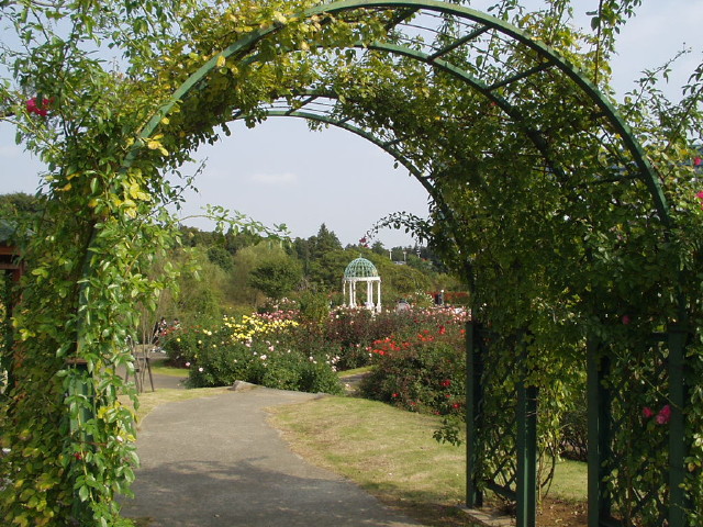 img0010.jpg
