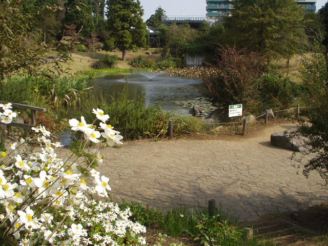 img0014.jpg