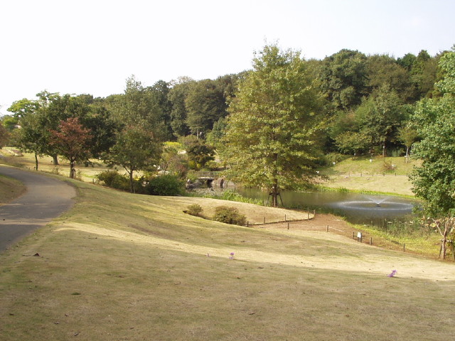 img0016.jpg
