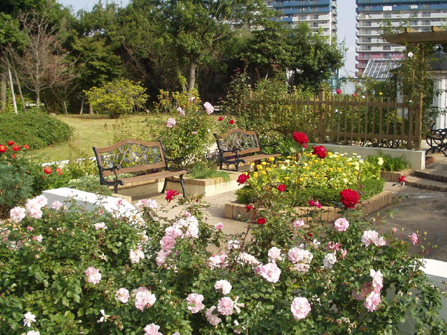img0018.jpg