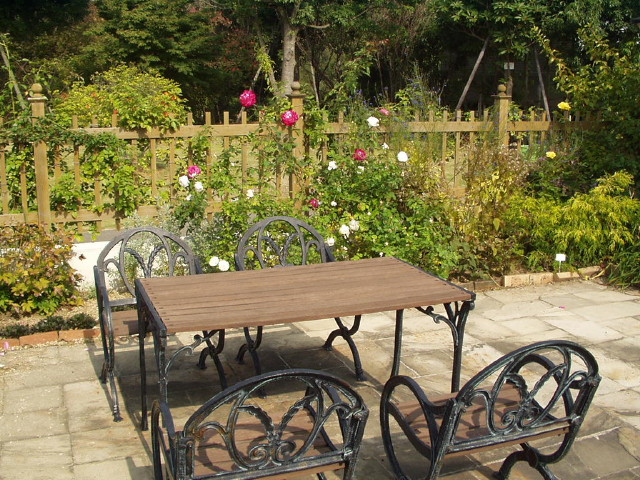 img0021.jpg