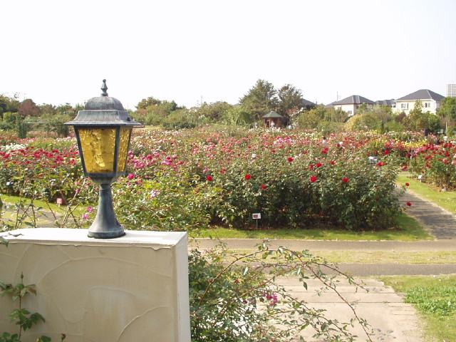 img0022.jpg