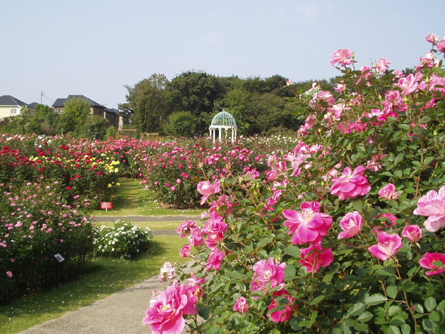 img0024.jpg
