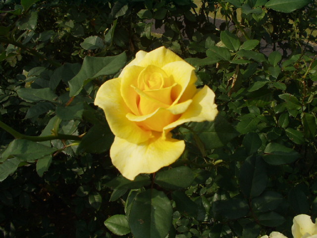 img0029.jpg