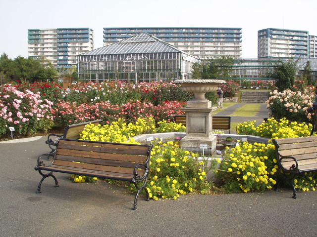 img0034.jpg