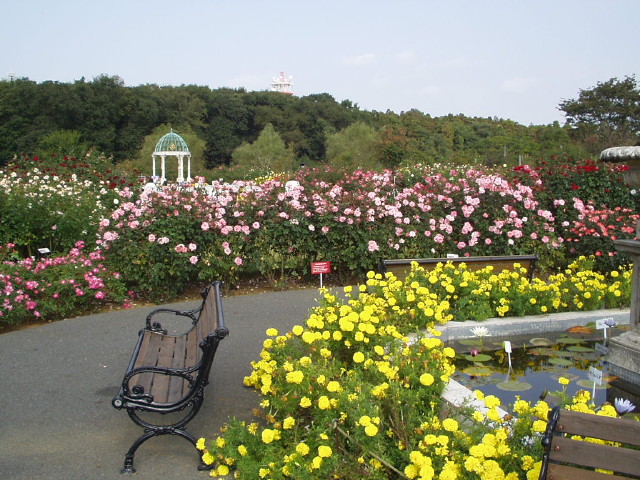 img0035.jpg