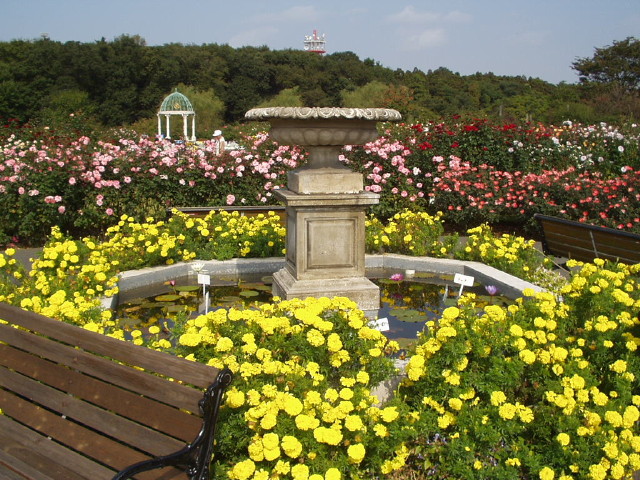 img0036.jpg