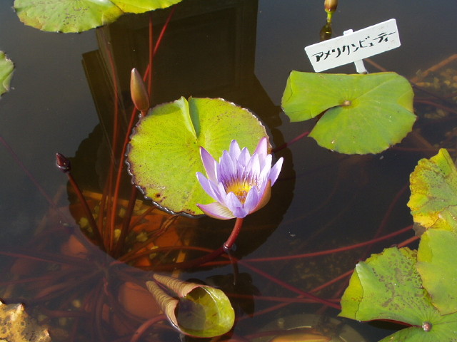 img0037.jpg