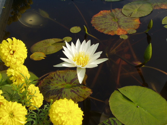 img0038.jpg