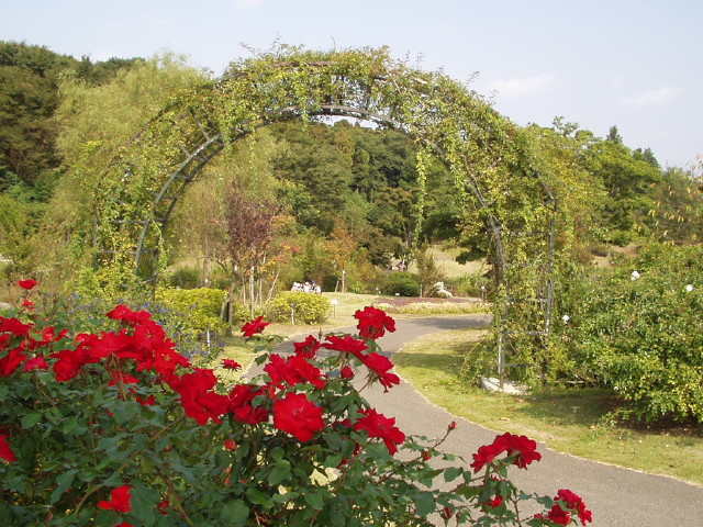 img0043.jpg