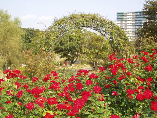 img0044.jpg