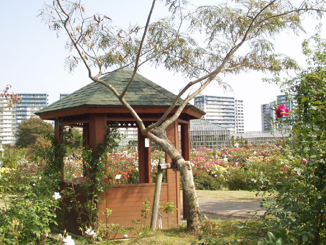 img0047.jpg