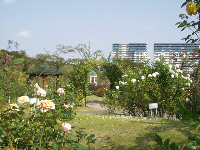 img0048.jpg