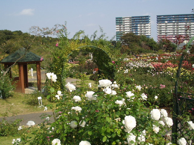 img0049.jpg