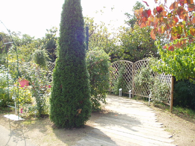 img0051.jpg