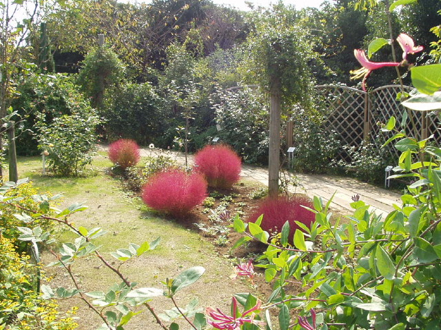 img0052.jpg