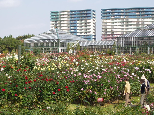 img0053.jpg