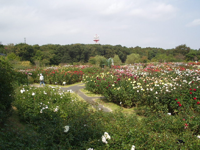 img0054.jpg